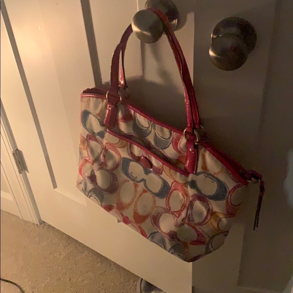 Poppy Dream Large Coach Purse